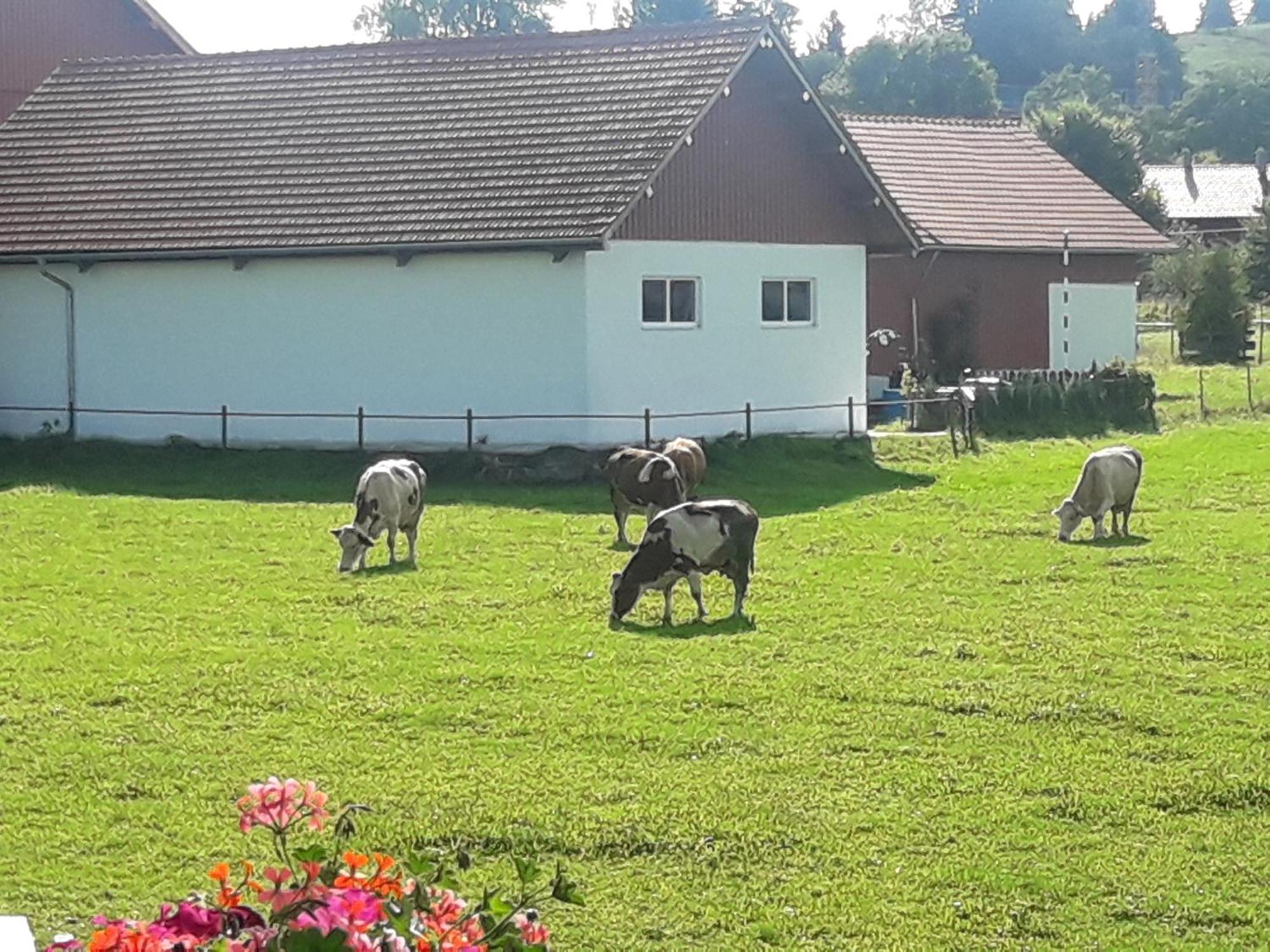 Gaestehaus Reisacher - Einzelzimmer Peiting Bagian luar foto